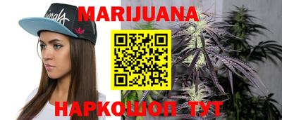 стаф Владимир