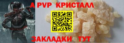 стаф Владимир