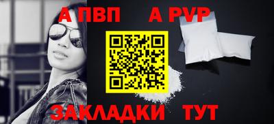 стаф Владимир