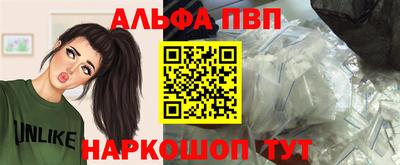 стаф Владимир