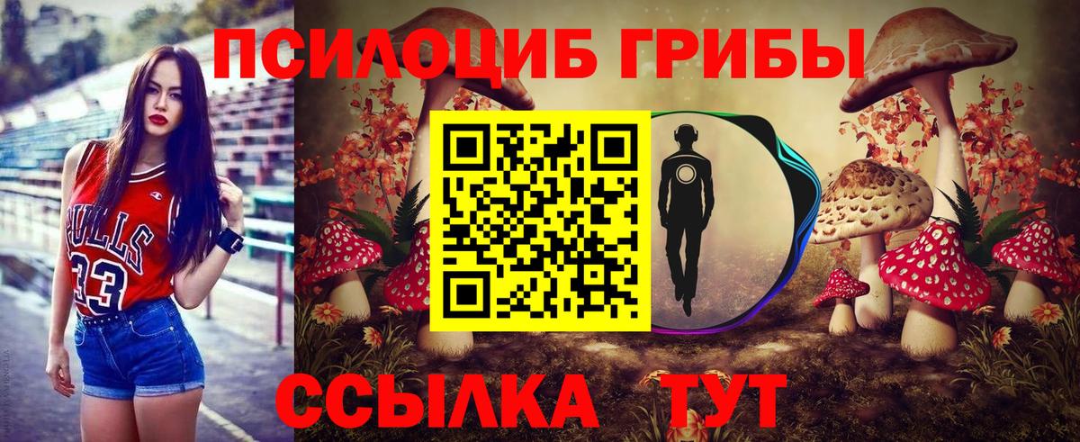 Галлюциногенные грибы мухоморы  Вход с VPN  Вичуга  Псилоцибиновые грибы Psilocybine cubensis 