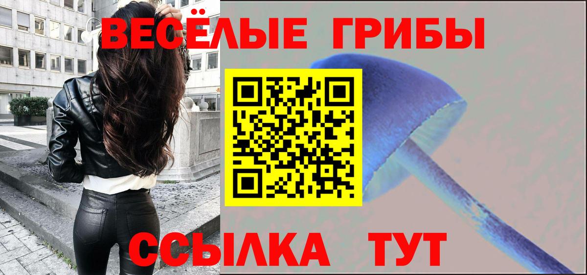 Псилоцибиновые грибы Cubensis Вичуга